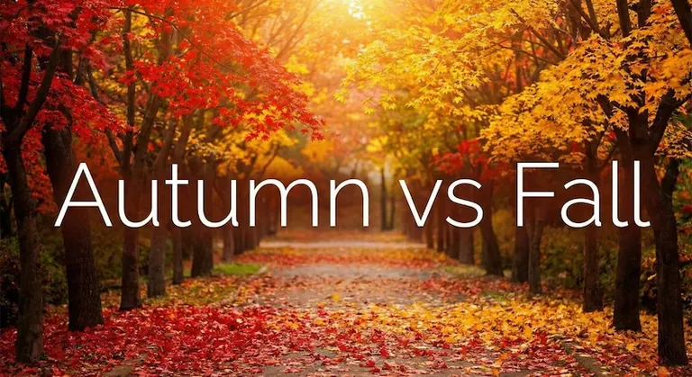 秋は英語でAutumn?Fall?違い・使い分けと「食欲の秋」の表現