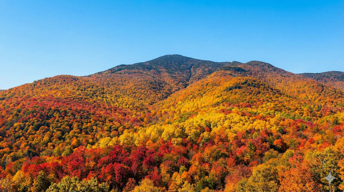 形容詞としての「秋の」はどう表現する? 代替テキスト: Vibrant autumn mountain colors / 鮮やかな秋の山の色